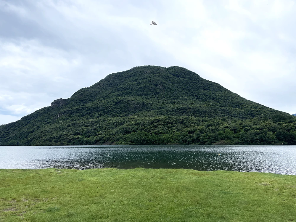 מבט פנים - סדנה